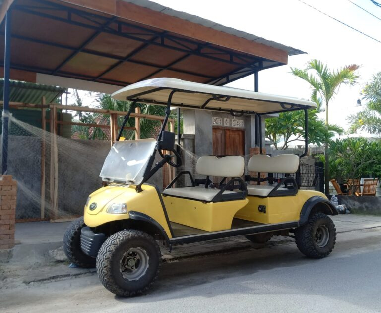buggy03